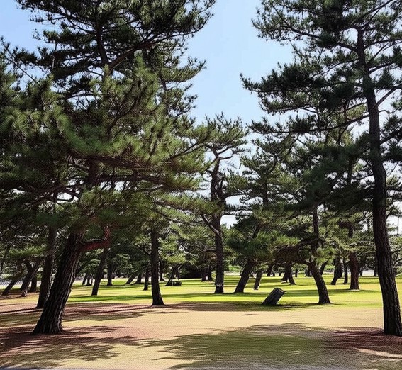 松枯れ被害を防ぐ